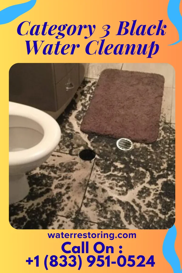 Category 3 Black Water Cleanup in Moonachie, NJ