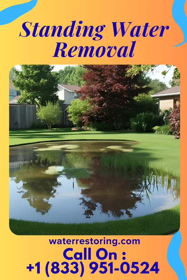 Standing Water Removal in Moonachie, NJ